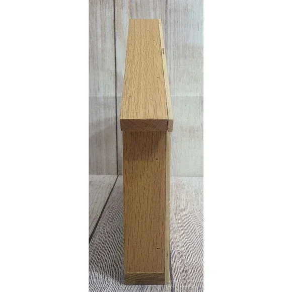 Lamb and Lion Manger Nativity Carved Wood Decor Holiday Winter